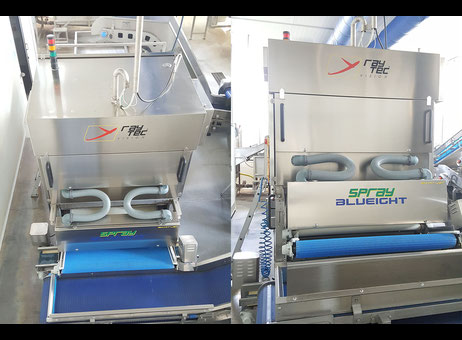 Used Raytec Vision S.P.A. Spray S-250-K-B Vegetable and fruit cutting, washing and blanching machine
